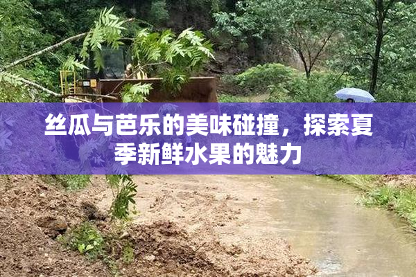 丝瓜与芭乐的美味碰撞，探索夏季新鲜水果的魅力