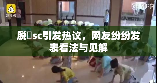 脱糞sc引发热议，网友纷纷发表看法与见解