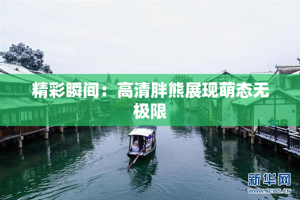 精彩瞬间：高清胖熊展现萌态无极限
