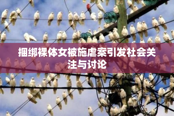 捆绑裸体女被施虐案引发社会关注与讨论