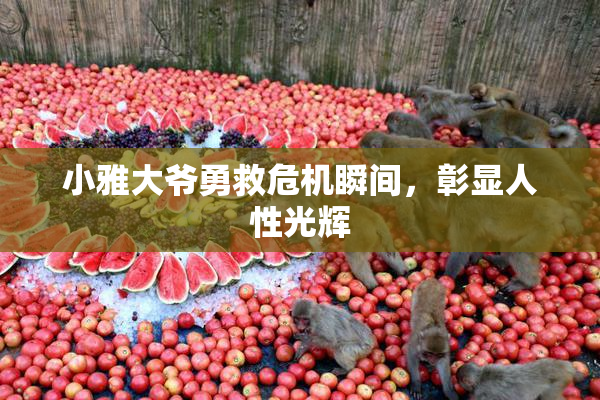 小雅大爷勇救危机瞬间，彰显人性光辉