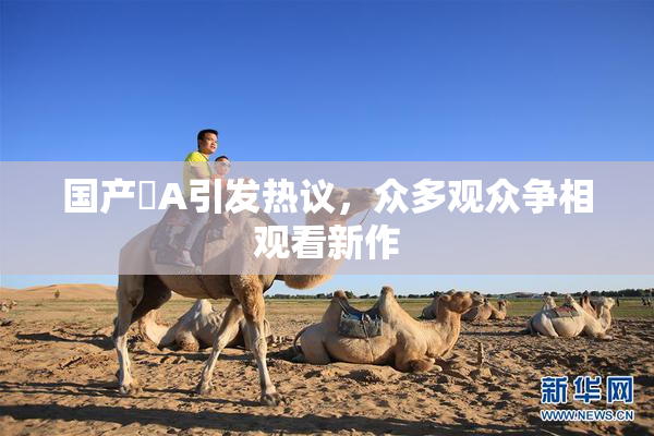 国产婬A引发热议，众多观众争相观看新作