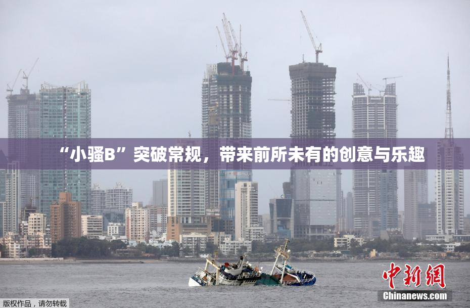 “小骚B”突破常规，带来前所未有的创意与乐趣