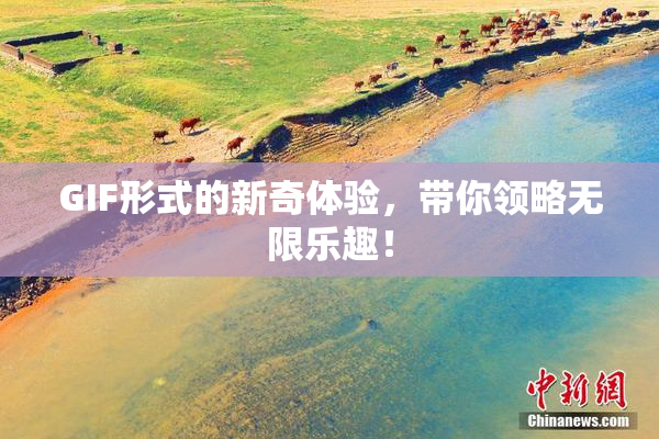 GIF形式的新奇体验，带你领略无限乐趣！