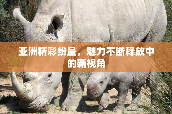 亚洲精彩纷呈，魅力不断释放中的新视角