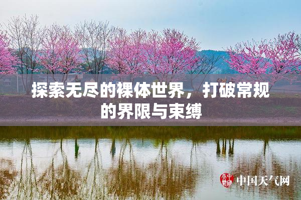 探索无尽的裸体世界，打破常规的界限与束缚
