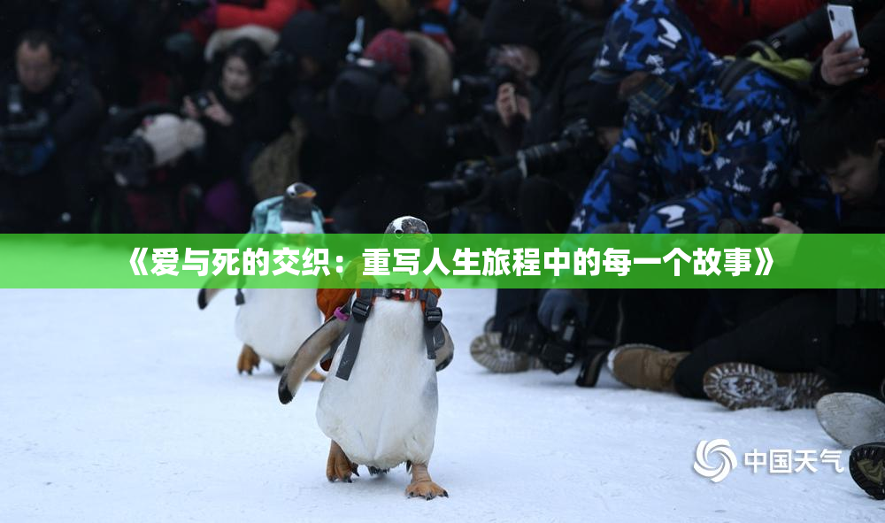 《爱与死的交织：重写人生旅程中的每一个故事》