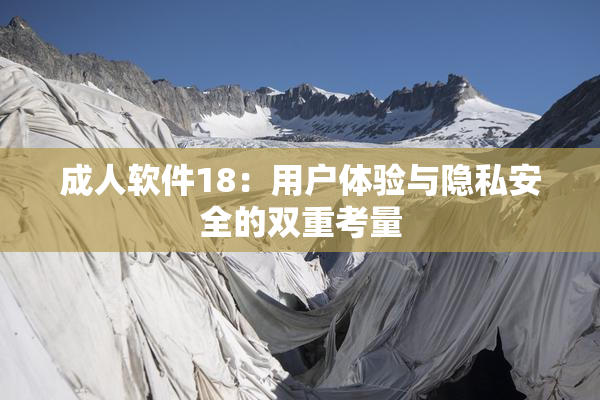 成人软件18：用户体验与隐私安全的双重考量