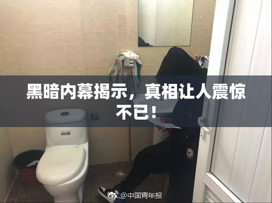 黑暗内幕揭示，真相让人震惊不已！