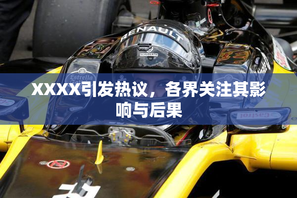 XXXX引发热议，各界关注其影响与后果