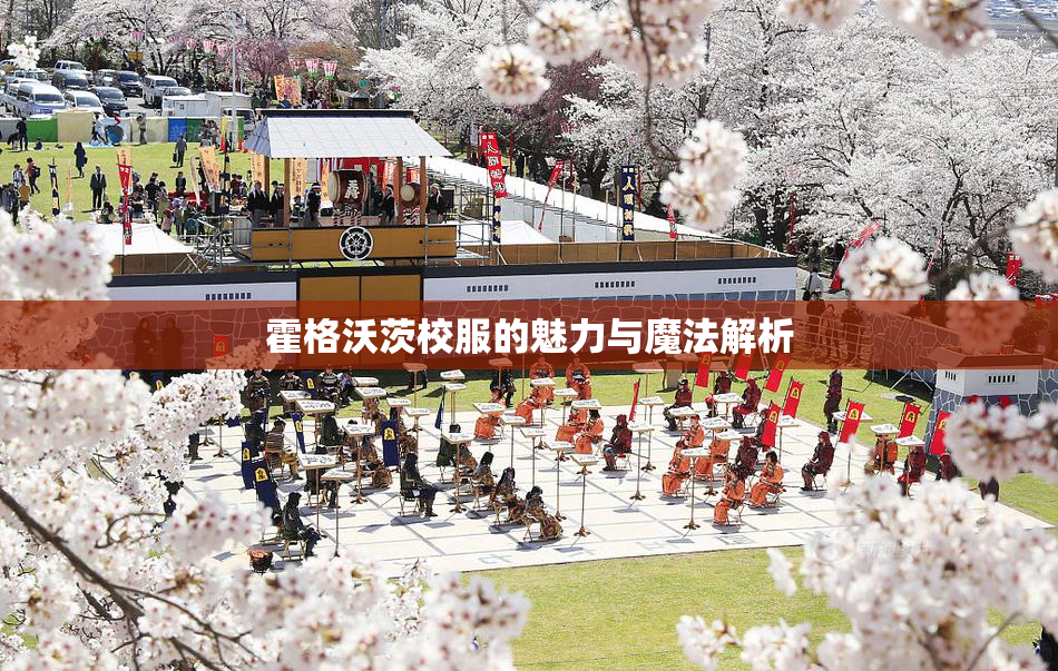 霍格沃茨校服的魅力与魔法解析