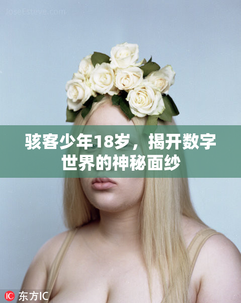 骇客少年18岁，揭开数字世界的神秘面纱