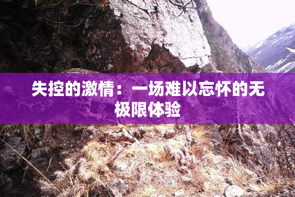 失控的激情：一场难以忘怀的无极限体验