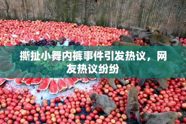 撕扯小舞内裤事件引发热议，网友热议纷纷