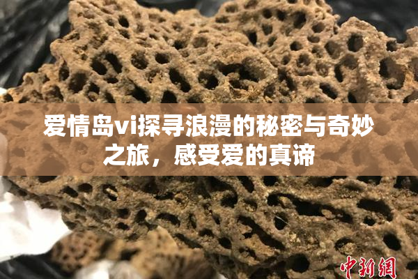 爱情岛vi探寻浪漫的秘密与奇妙之旅，感受爱的真谛