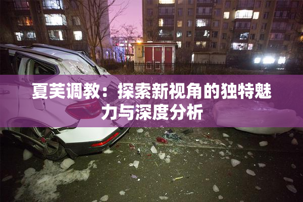 夏芙调教：探索新视角的独特魅力与深度分析