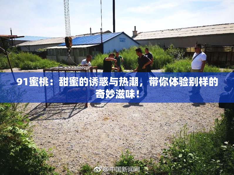 91蜜桃：甜蜜的诱惑与热潮，带你体验别样的奇妙滋味！