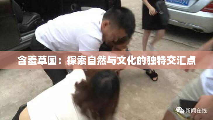 含羞草国：探索自然与文化的独特交汇点