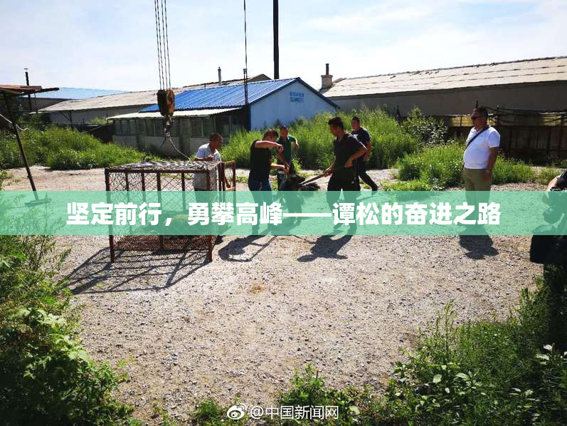 坚定前行，勇攀高峰——谭松的奋进之路
