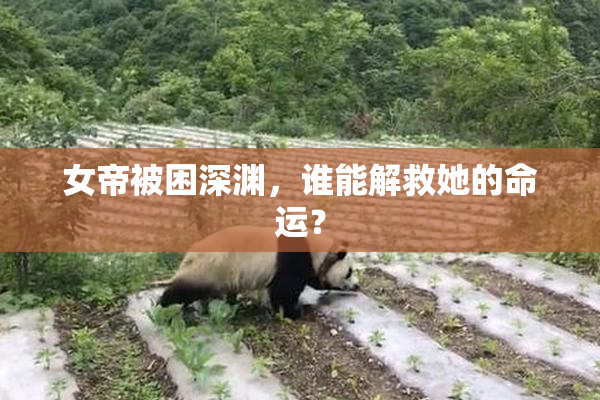 女帝被困深渊，谁能解救她的命运？