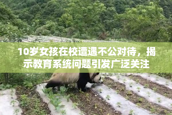 10岁女孩在校遭遇不公对待，揭示教育系统问题引发广泛关注
