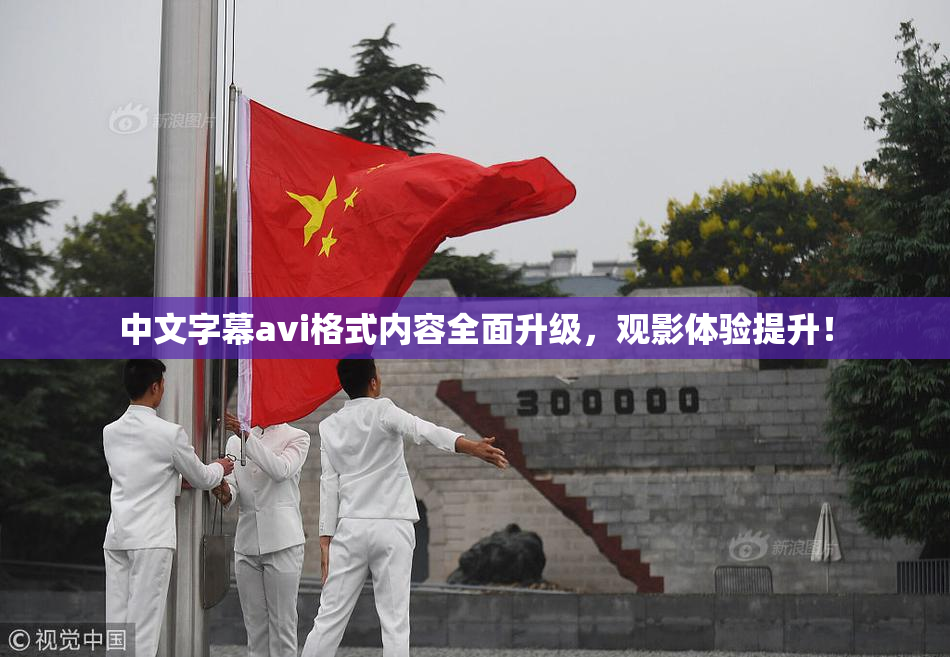 中文字幕avi格式内容全面升级，观影体验提升！