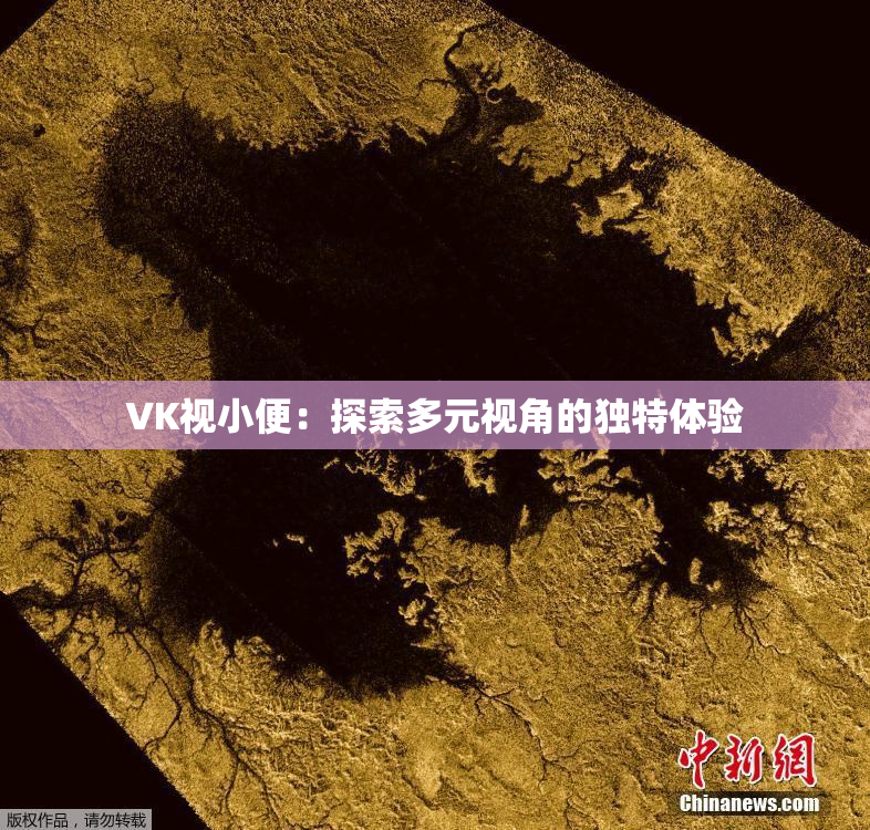 VK视小便：探索多元视角的独特体验