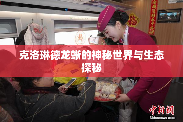 克洛琳德龙蜥的神秘世界与生态探秘
