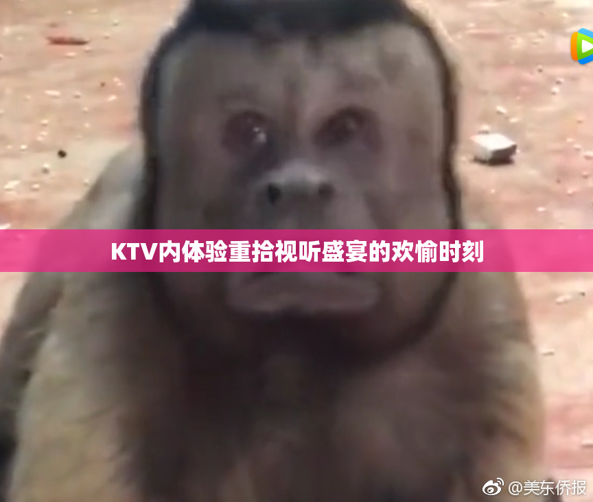 KTV内体验重拾视听盛宴的欢愉时刻