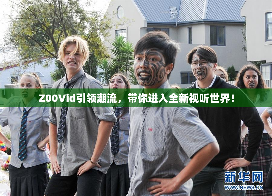 Z00Vid引领潮流，带你进入全新视听世界！