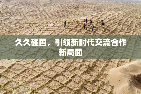 久久碰国，引领新时代交流合作新局面