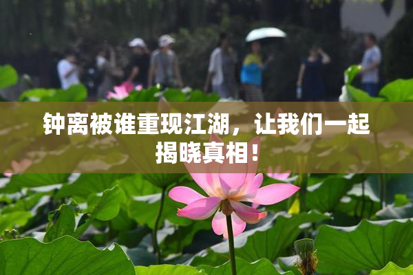 钟离被谁重现江湖，让我们一起揭晓真相！