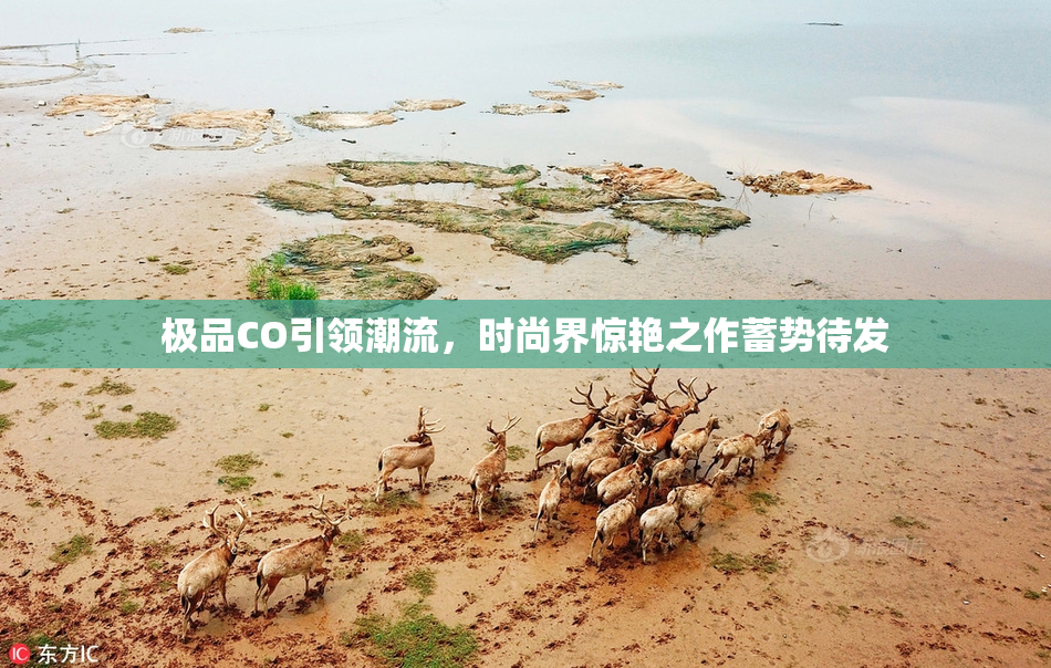 极品CO引领潮流，时尚界惊艳之作蓄势待发