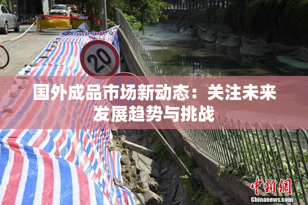 国外成品市场新动态：关注未来发展趋势与挑战