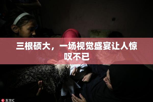 三根硕大，一场视觉盛宴让人惊叹不已
