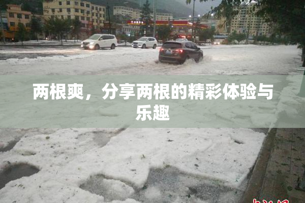 两根爽，分享两根的精彩体验与乐趣