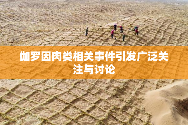 伽罗因肉类相关事件引发广泛关注与讨论