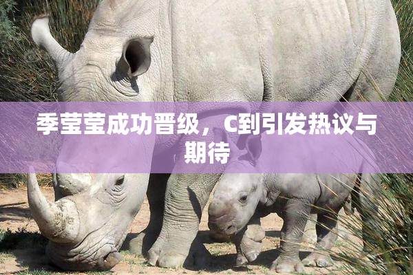 季莹莹成功晋级，C到引发热议与期待