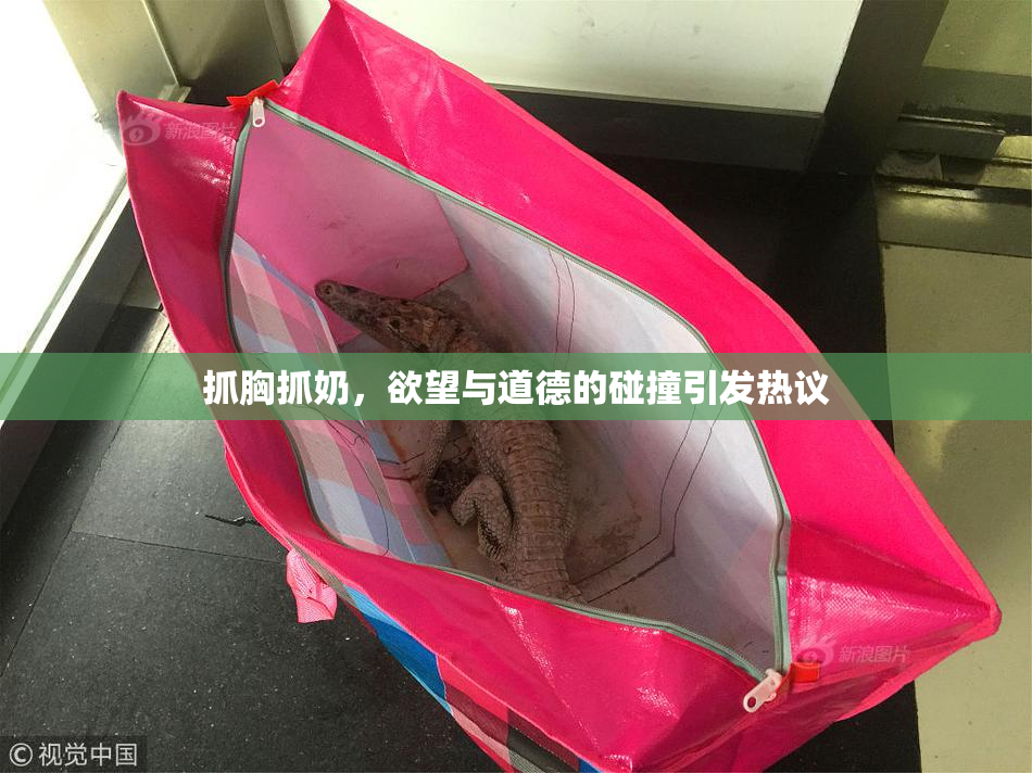抓胸抓奶，欲望与道德的碰撞引发热议