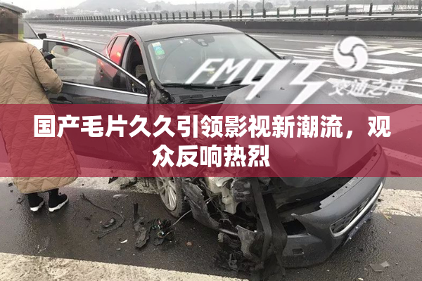 国产毛片久久引领影视新潮流，观众反响热烈