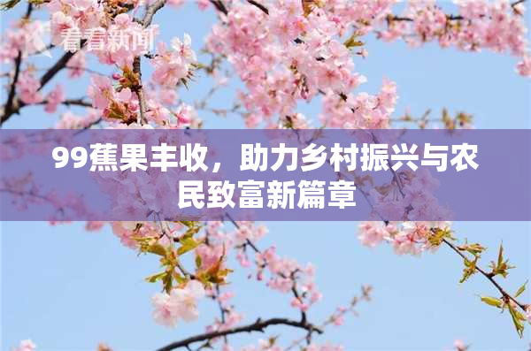 99蕉果丰收，助力乡村振兴与农民致富新篇章