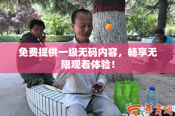 免费提供一级无码内容，畅享无限观看体验！