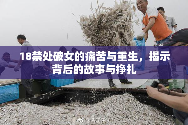 18禁处破女的痛苦与重生，揭示背后的故事与挣扎