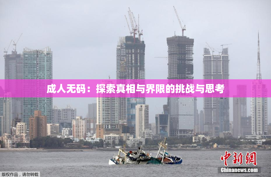 成人无码：探索真相与界限的挑战与思考