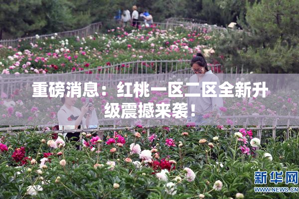 重磅消息：红桃一区二区全新升级震撼来袭！