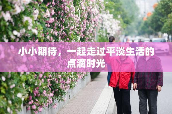 小小期待，一起走过平淡生活的点滴时光