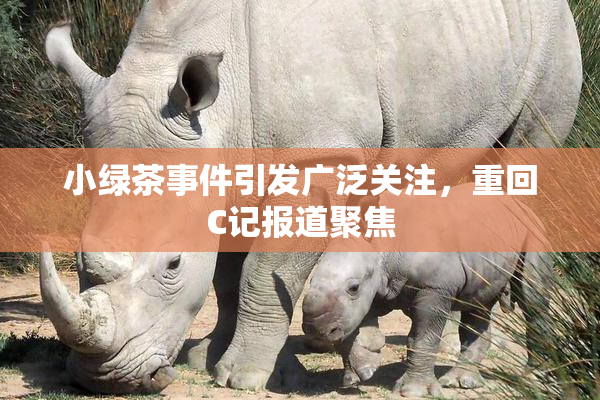 小绿茶事件引发广泛关注，重回C记报道聚焦