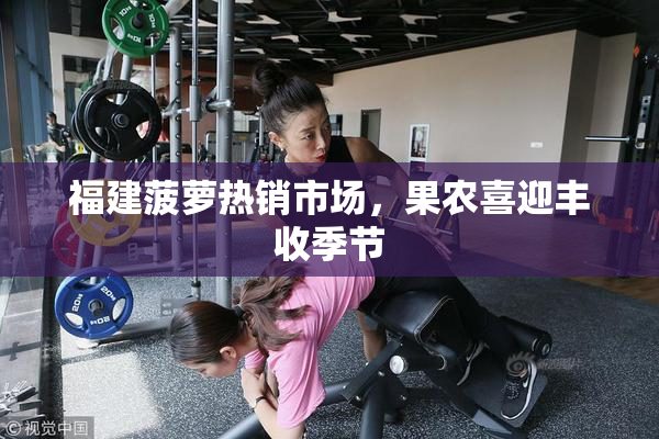 福建菠萝热销市场，果农喜迎丰收季节