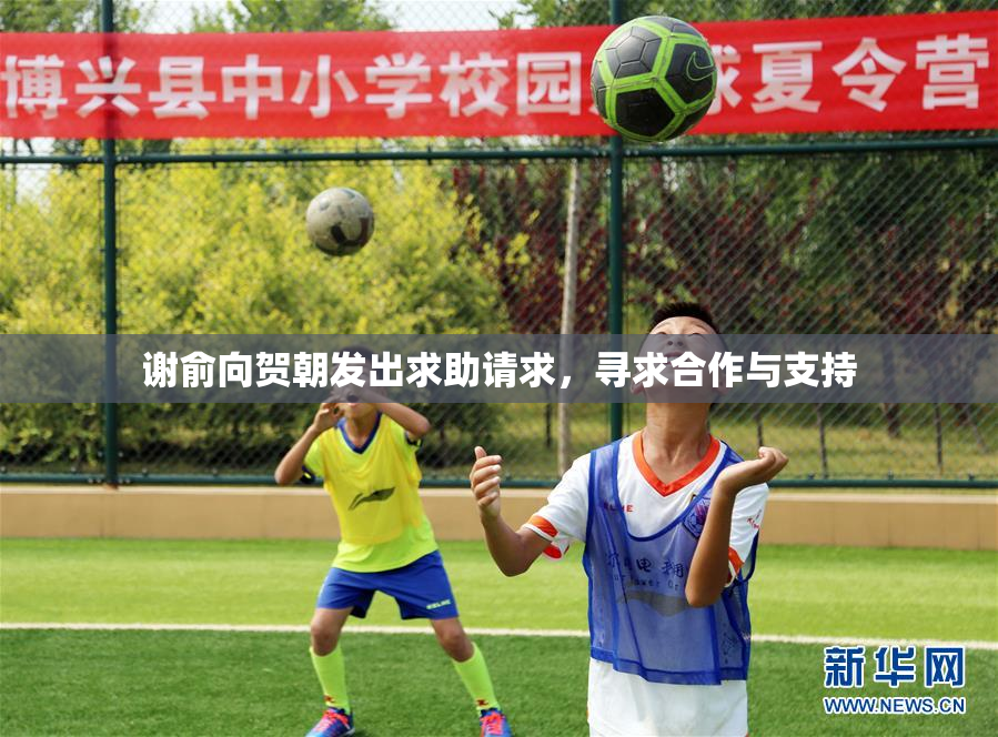 谢俞向贺朝发出求助请求，寻求合作与支持