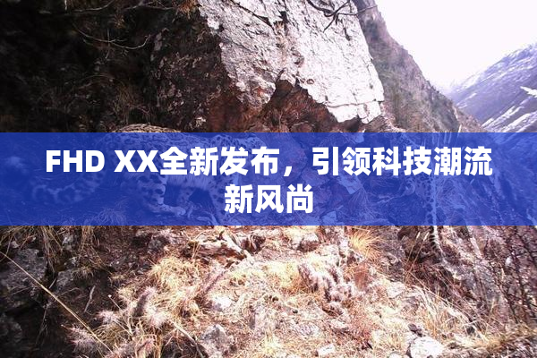 FHD XX全新发布，引领科技潮流新风尚